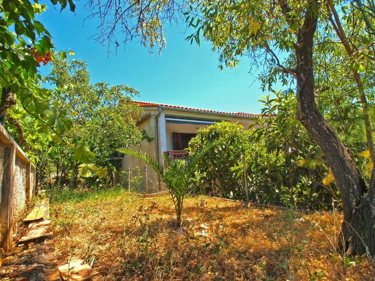 Apartments Emil 769 Fažana Dış mekan fotoğraf